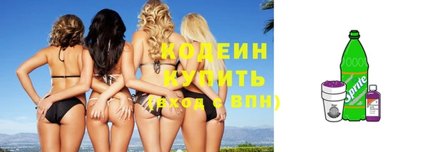 МДПВ Карпинск