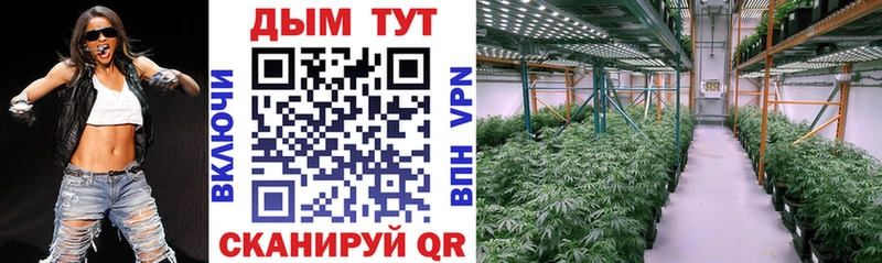 Купить  Горбатов  МАРИХУАНА план 